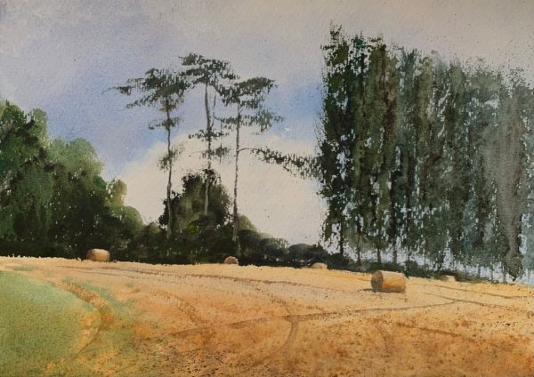 Watercolour painting of a Sussex field with hay bales and trees in the background by artist John Haywood