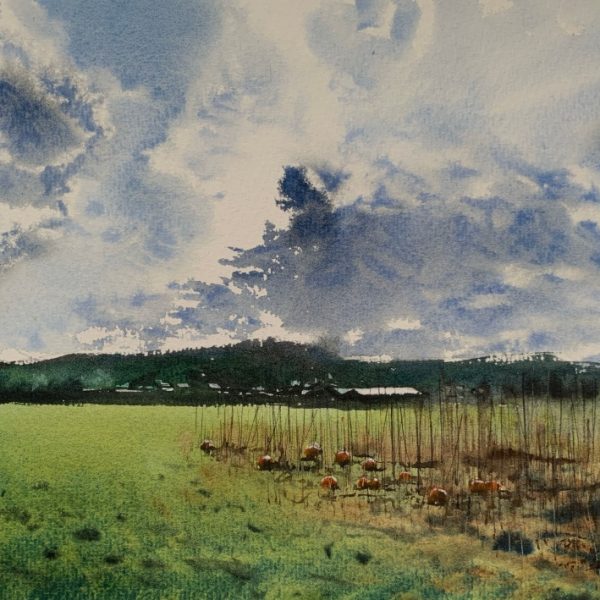From the edge of the pumpkin patch, Poynings, Sussex | SOLD