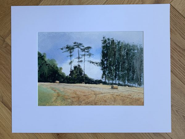 Mounted watercolour painting of a Sussex field with hay bales and trees in the background by artist John Haywood