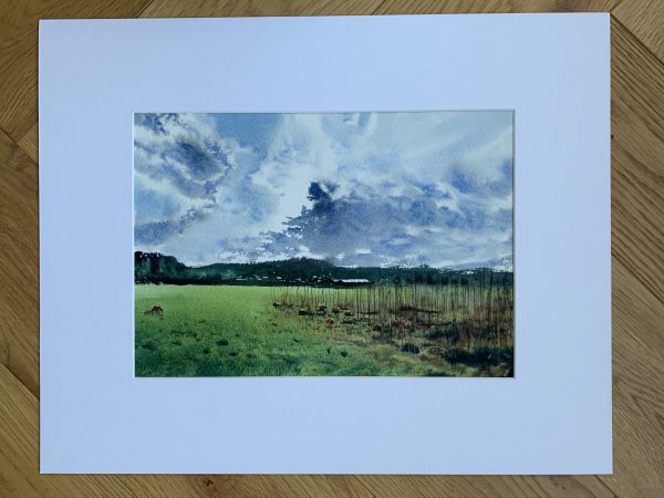 From the edge of the pumpkin patch, Poynings, Sussex | SOLD - Image 2