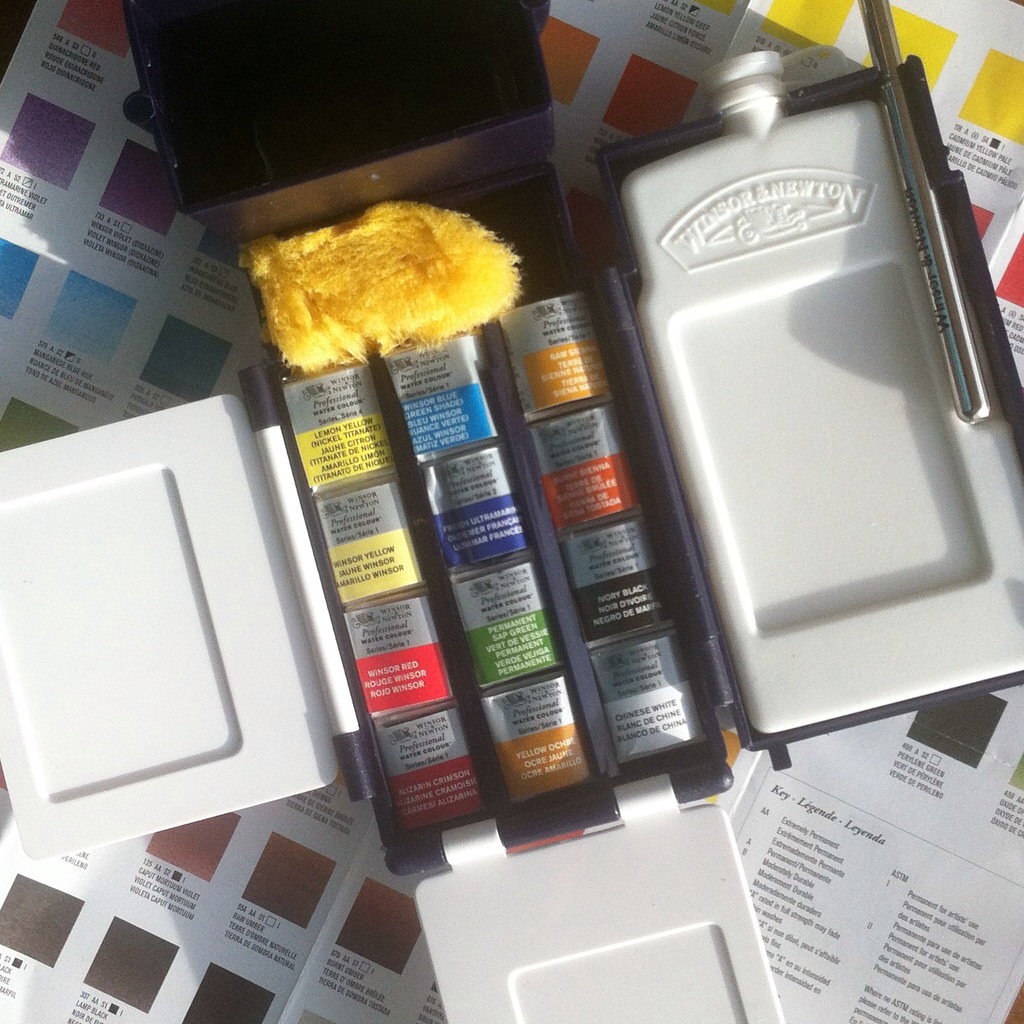 Winsor and Newton professional water colour field box