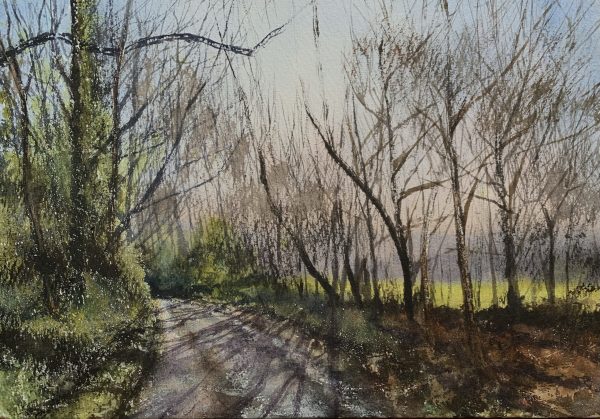 Country lane | SOLD