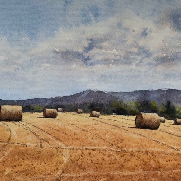 Sussex Haybales